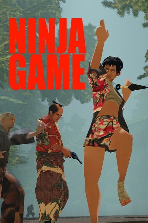 Ninja Game cover art