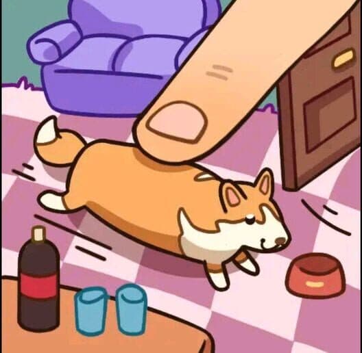 Push Corgi cover art