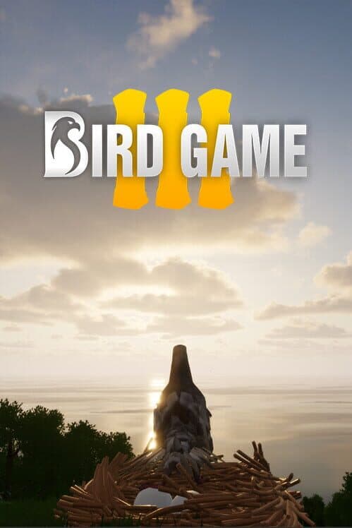 Bird Game 3 cover art