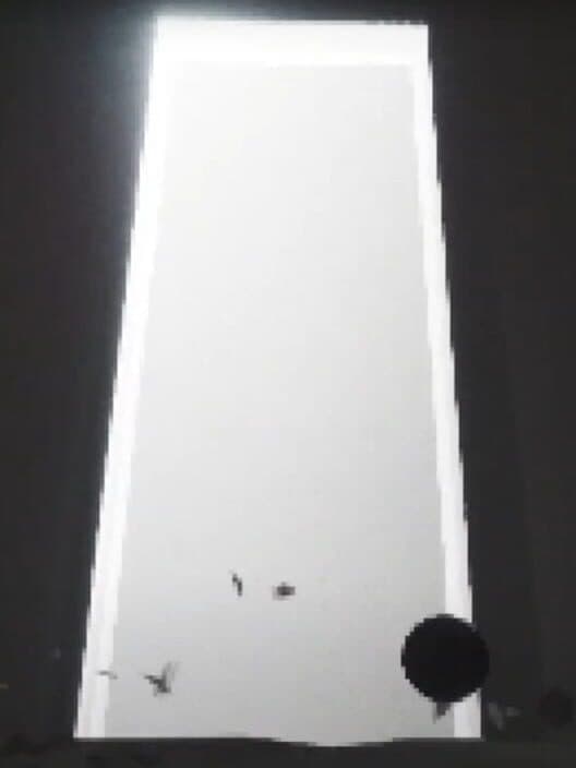 Ustje cover art