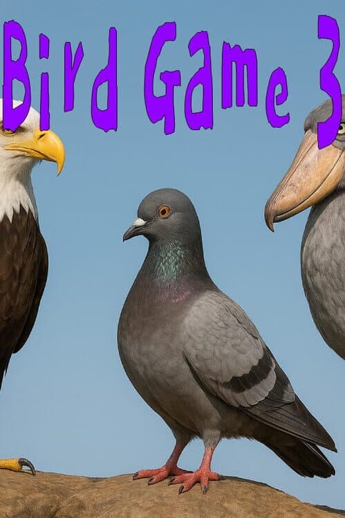 Bird Game 3 cover art