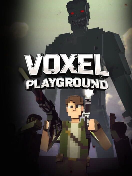 Voxel Playground cover art