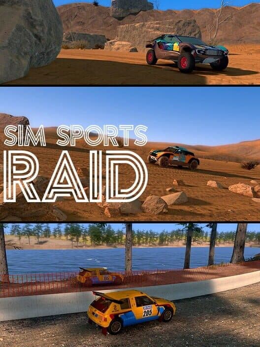 Sim Sports Raid cover art