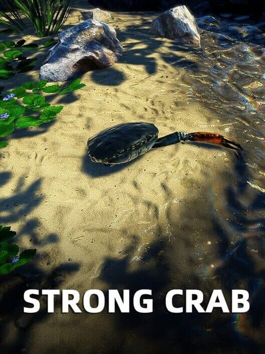 Strong Crab cover art