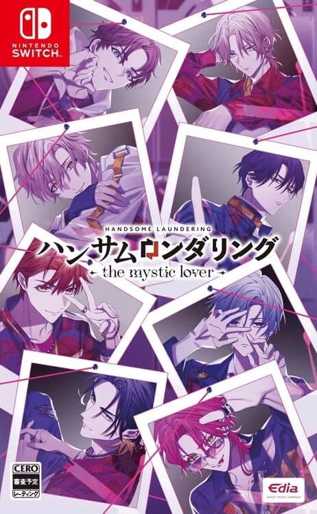 Handsome Laundering: The Mystic Lover cover art