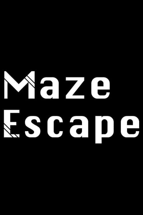 Maze Escape cover art