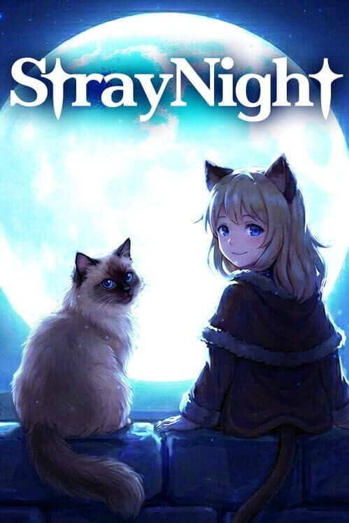 Stray Night cover art