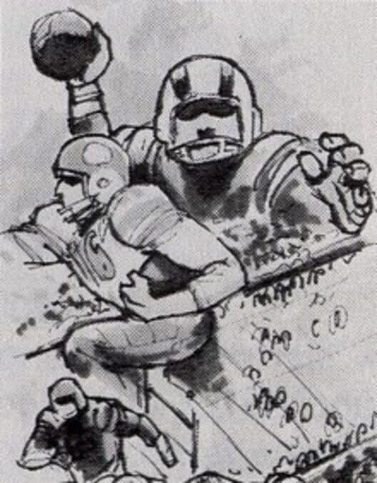 Pigskin cover art
