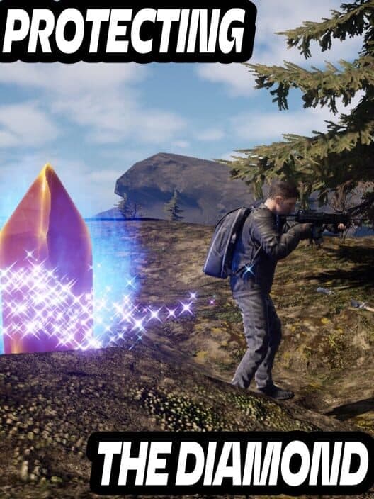 Protecting the Diamond cover art