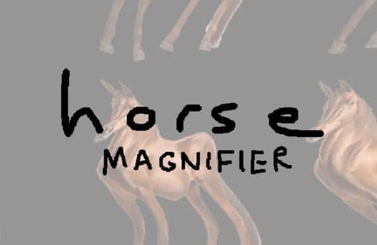 Horse Magnifier cover art