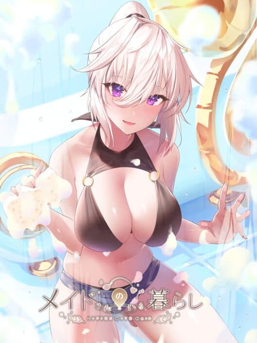 Maid-san no Iru Kurashi: Premium Edition cover art