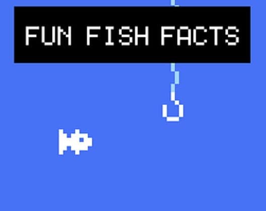 Fun Fish Facts cover art