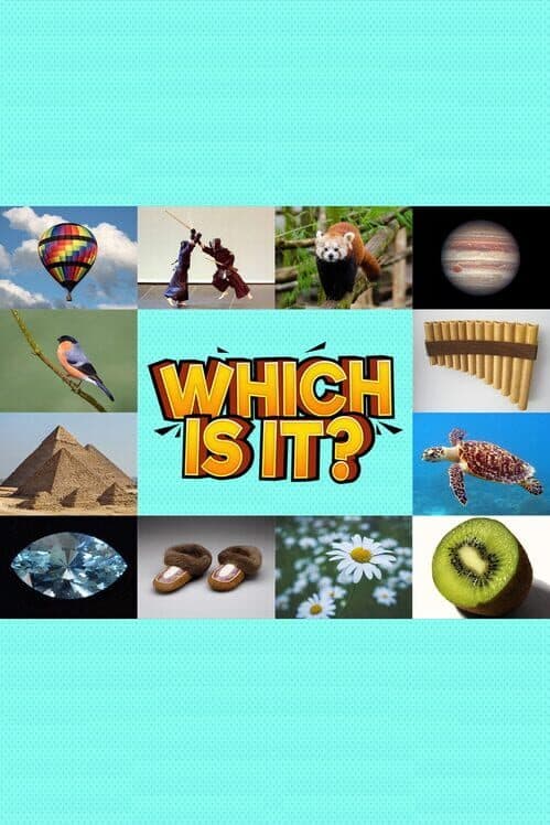 Which Is It? cover art