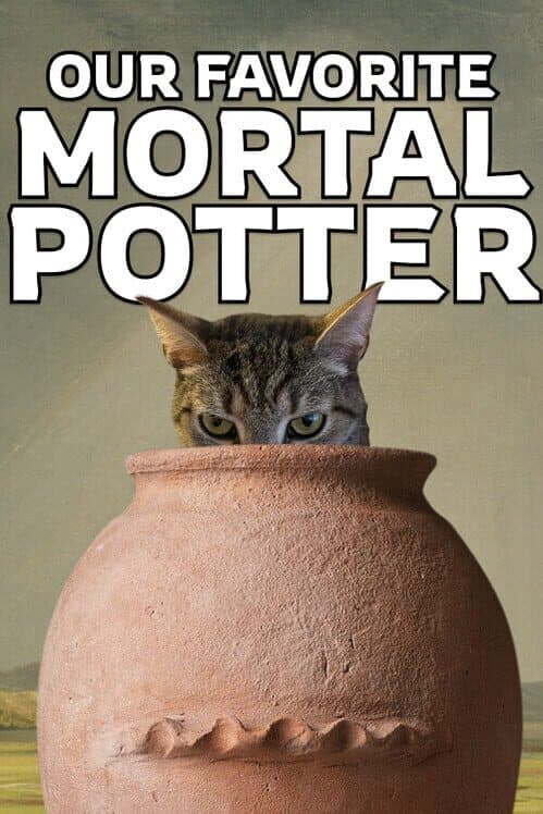 Our Favorite Mortal Potter cover art