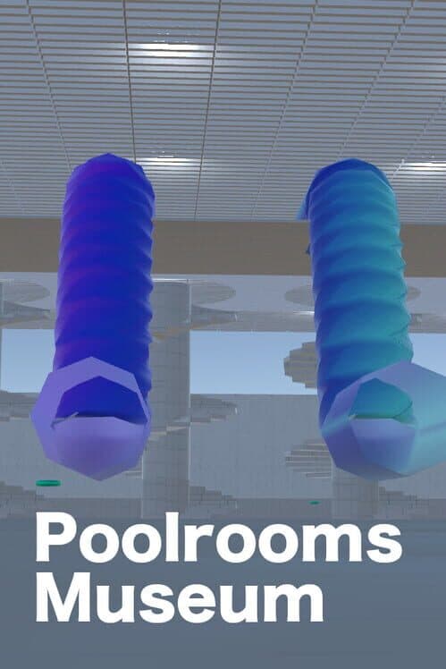 Poolrooms Museum cover art