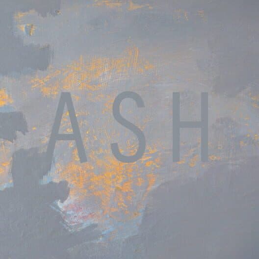 Ash cover art