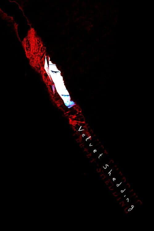 Velvet Shedding cover art