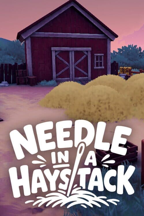 Needle in a Haystack cover art