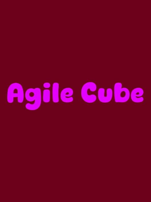 Agile Cube cover art