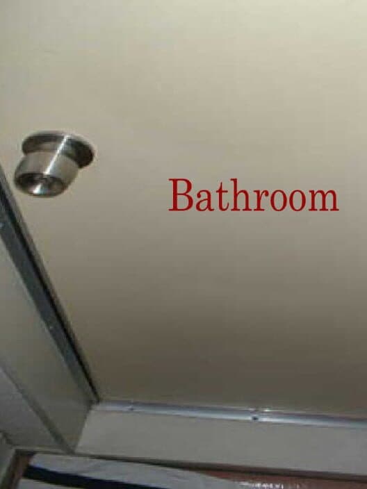 Bathroom cover art