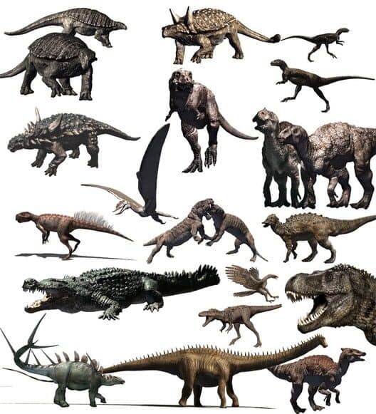 Dinosaur Battlegrounds cover art