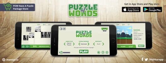 Puzzle of Words cover art