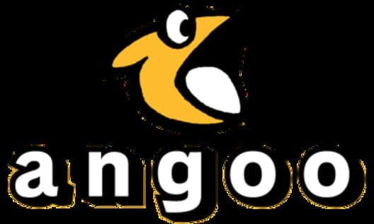 angoo Inc. cover art