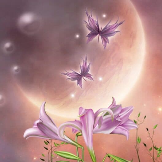 Hidden Garden Midnight cover art