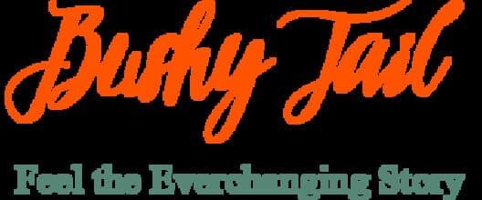 Bushy Tail cover art