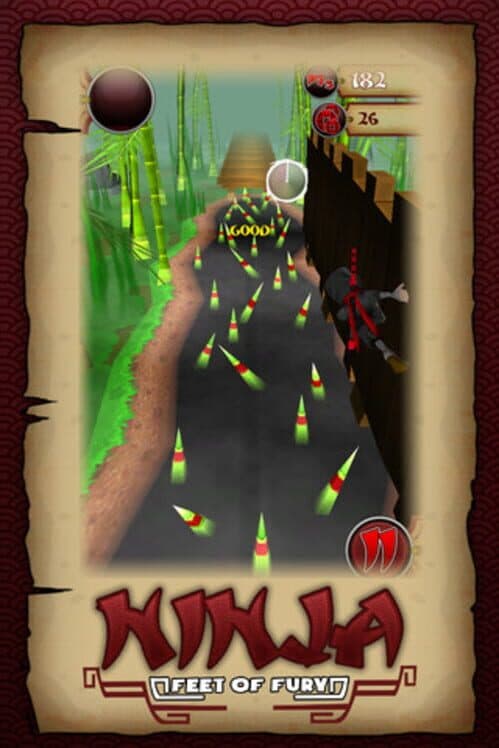 Ninja Feet of Fury cover art