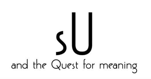 Su and the Quest for meaning cover art