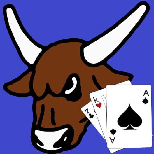 Rodeo Judge cover art