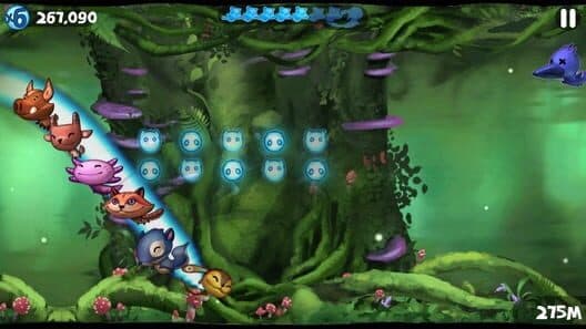 Tanuki Forest cover art