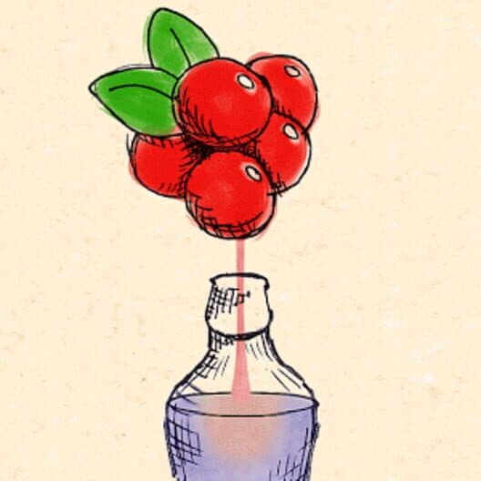 BerryMaker: DNA Soda factory cover art