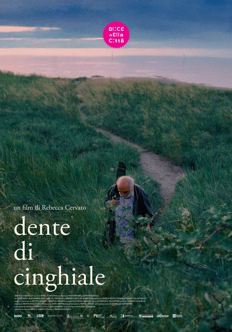 Dente di cinghiale cover art