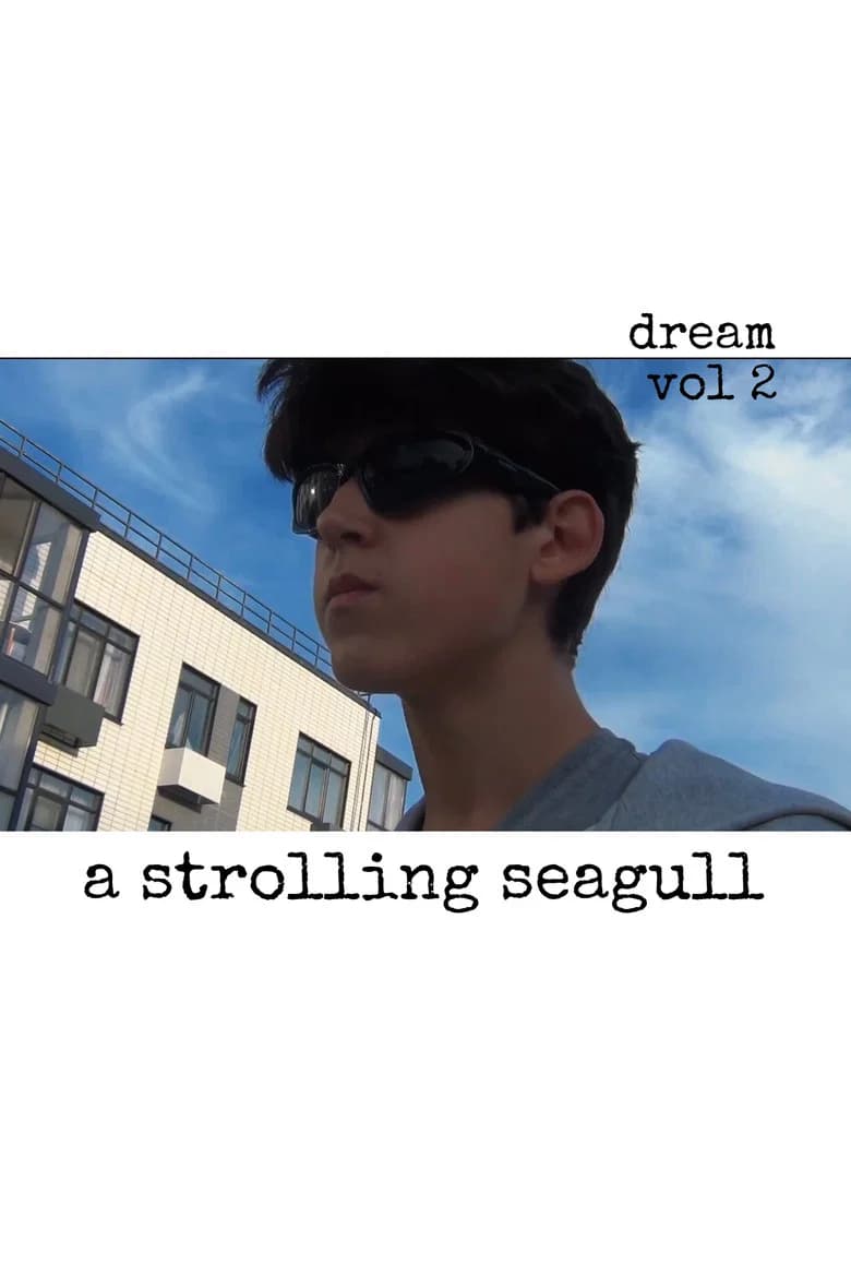Dream vol 2. «A strolling seagull» cover art