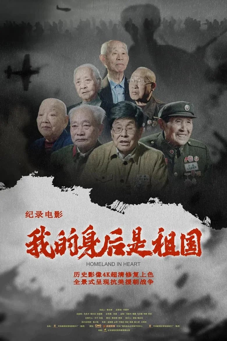 我的身后是祖国 cover art
