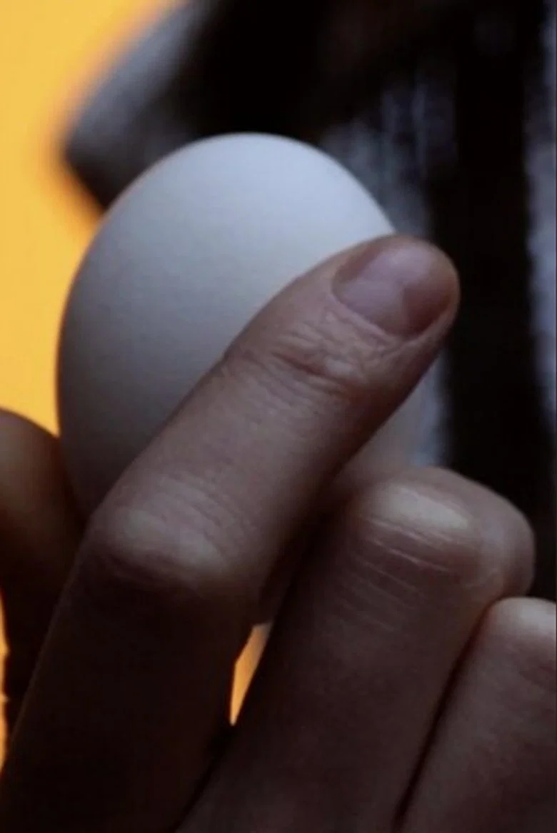 EGG cover art