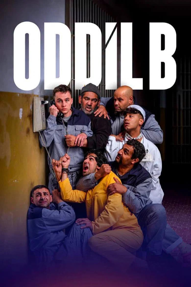 Oddíl B cover art