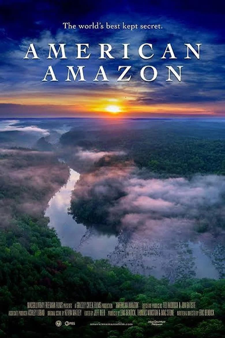 American Amazon cover art