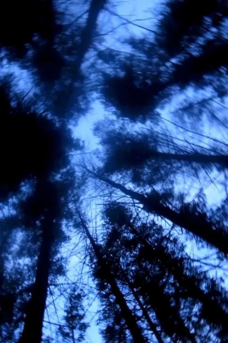 The Paranormal Experience That Inspired The Blair Witch Project cover art
