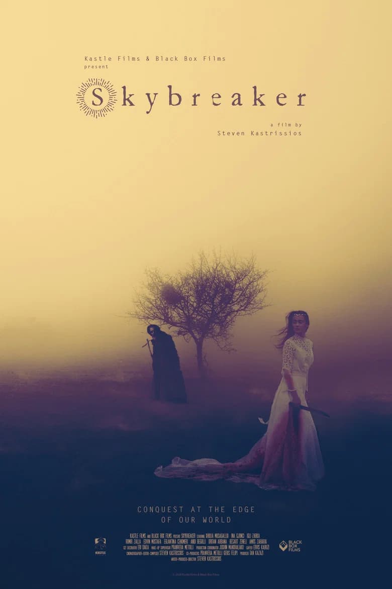 Skybreaker cover art