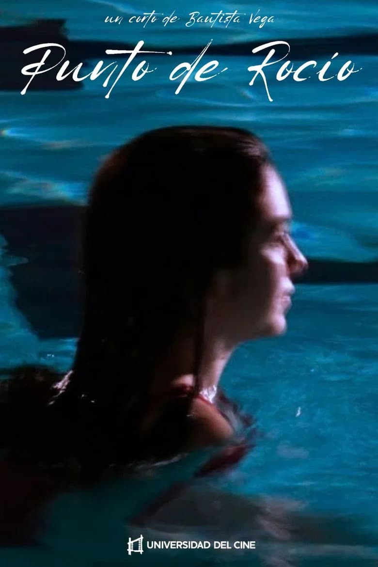 Punto de Rocío cover art