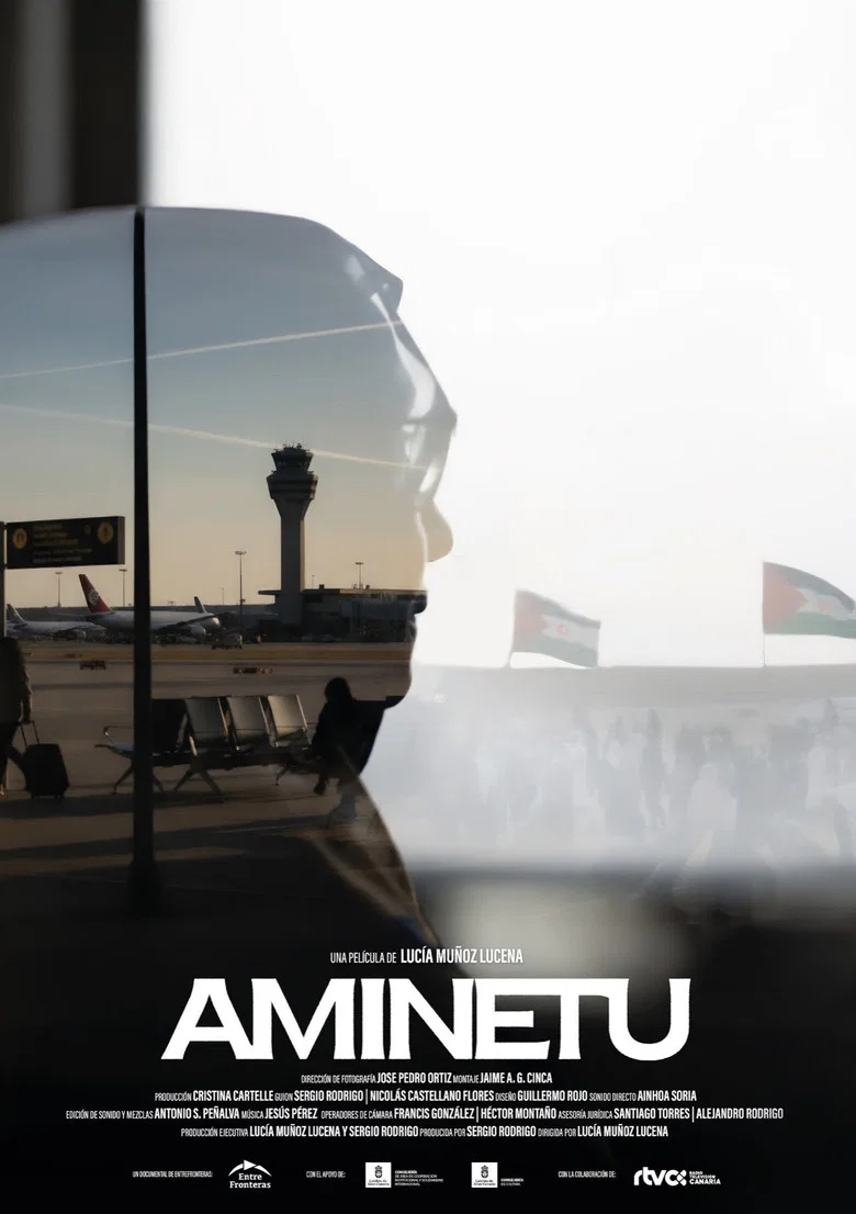 AMINETU cover art
