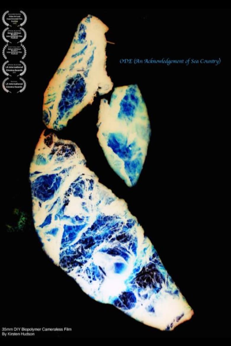 Ode (An Acknowledgement of Sea Country) cover art