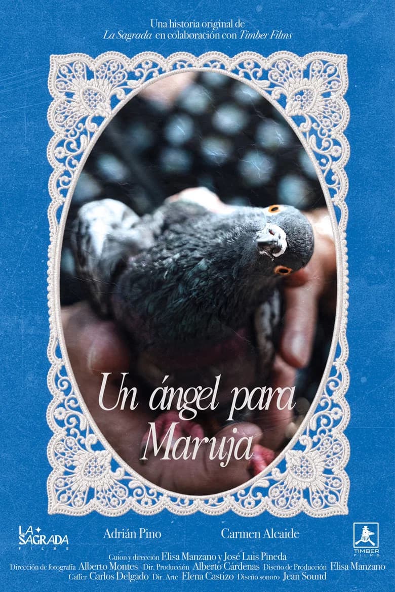Un ángel para Maruja cover art