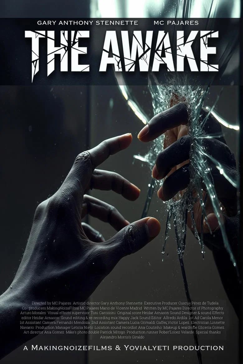 The Awake cover art