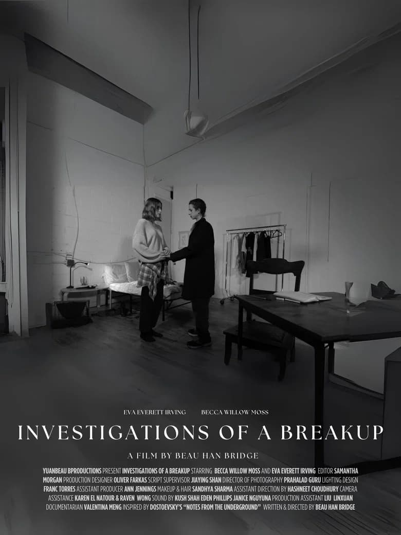 Investigations of a Breakup cover art