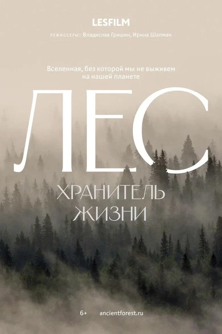 The Forest cover art