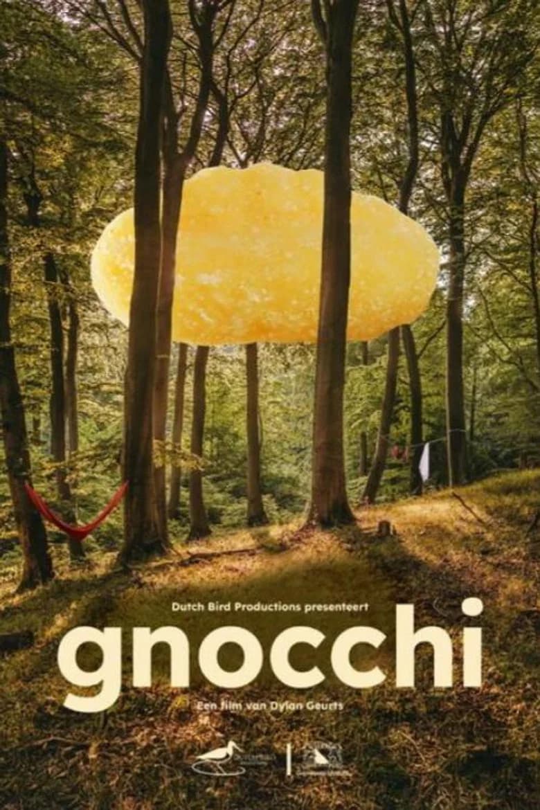 Gnocchi cover art
